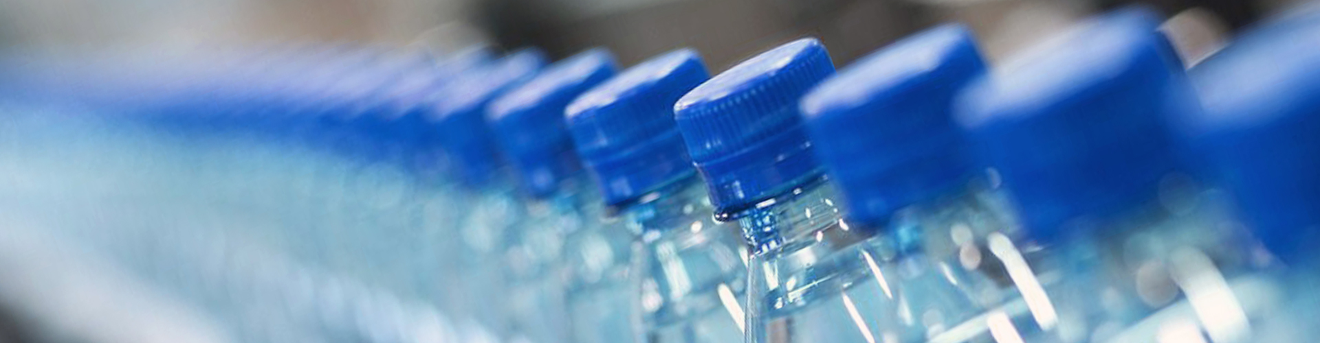 6008集团官方网站集团（LSI）